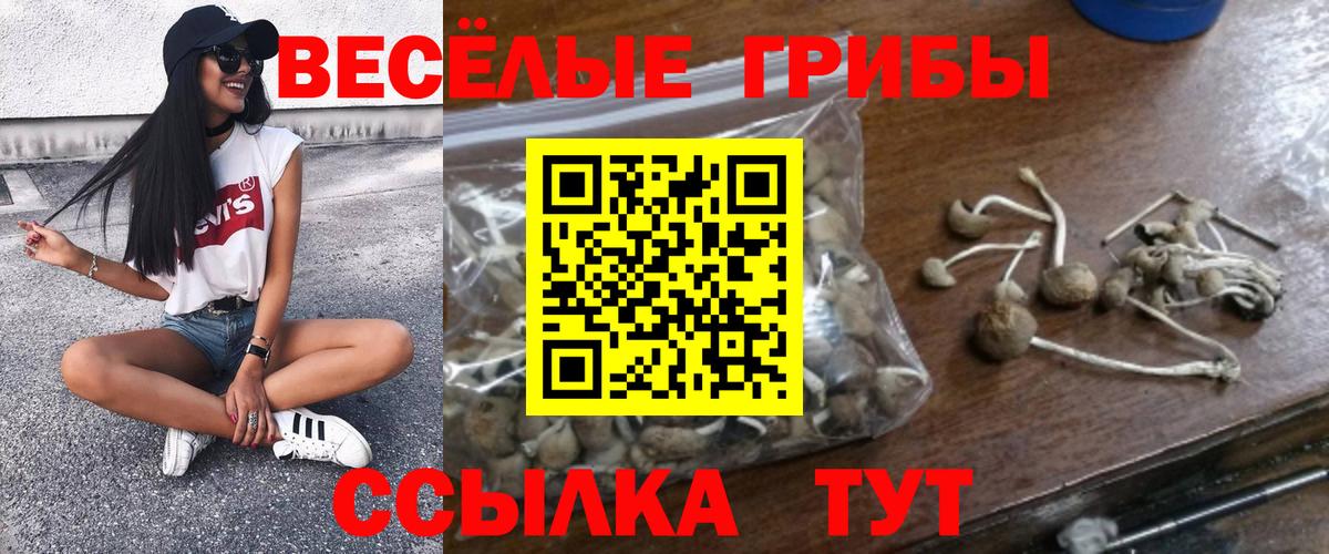 Псилоцибиновые грибы прущие грибы Аксай